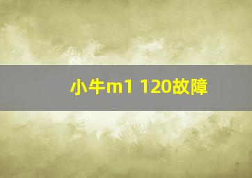 小牛m1 120故障